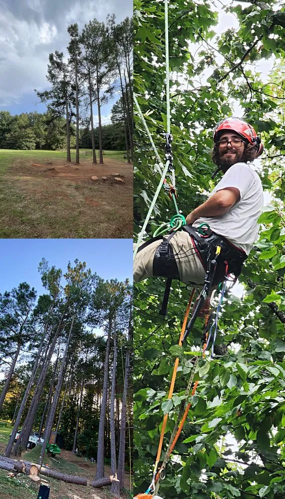 Affordable yard maintenance for residential properties in Fredericksburg, VA by Field’s Services