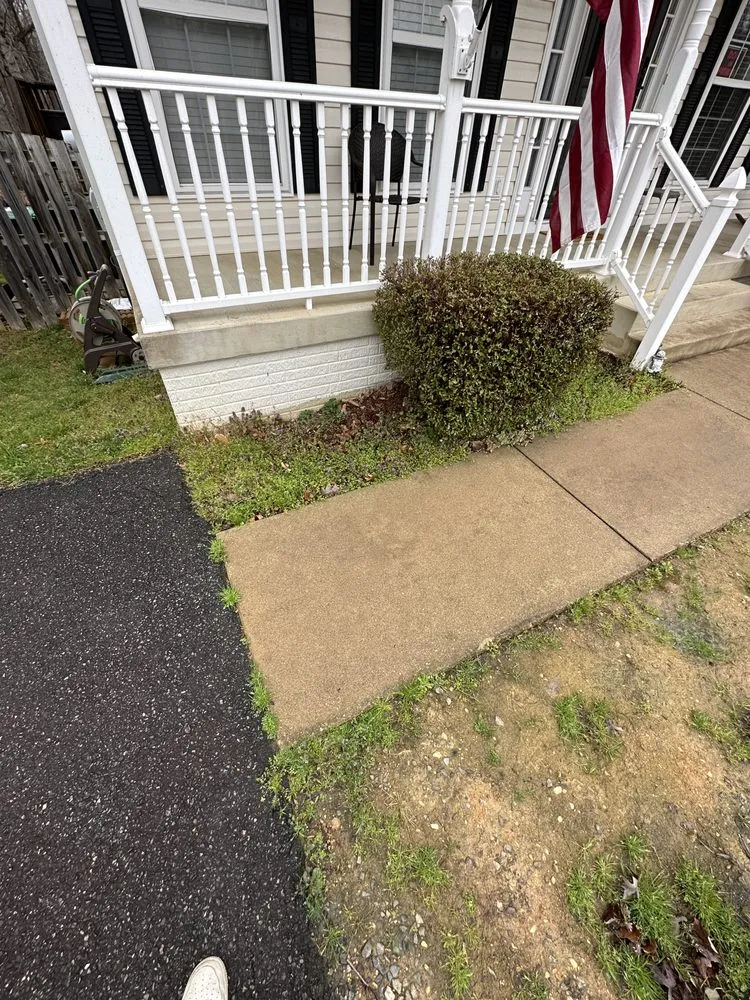 Trusted yard cleanup service in Fredericksburg, VA - Field’s Services