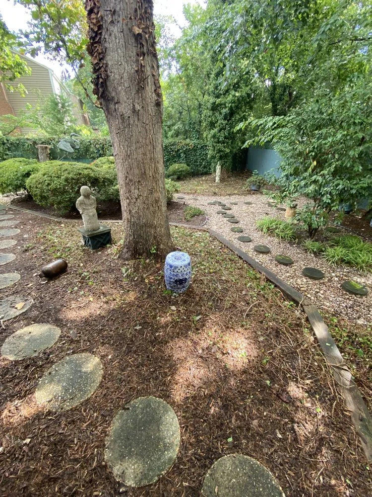 Professional lawn mowing service for beautiful yards across Fredericksburg, VA - Field’s Services