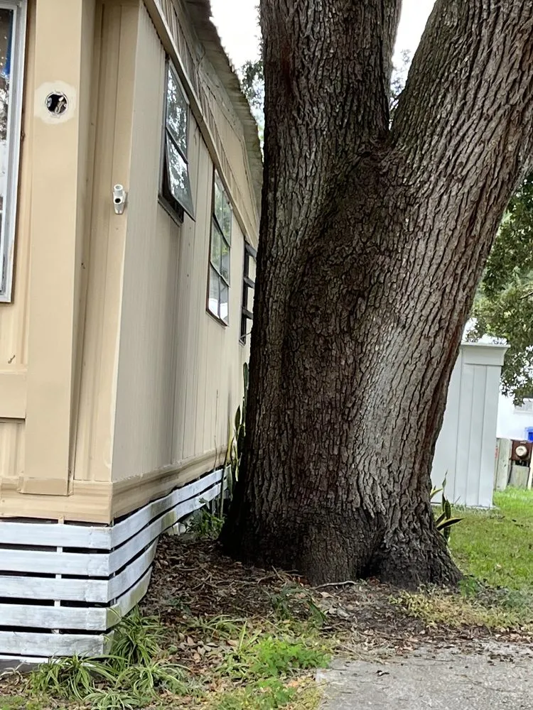 Affordable landscape installation in Lakeland, FL - Fields Tree & Land Management