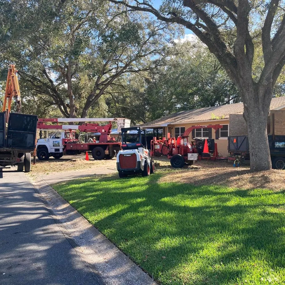 Affordable outdoor landscaping in Lakeland, FL by Fields Tree & Land Management