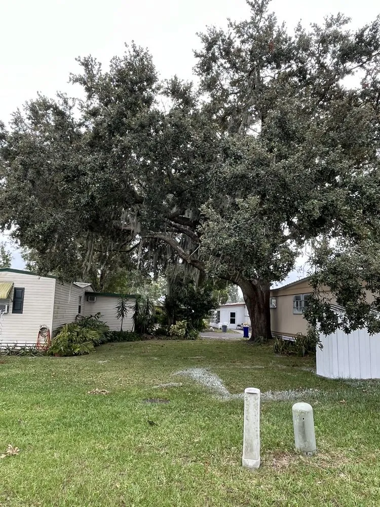 Trusted lawn care service for beautiful yards across Lakeland, FL - Fields Tree & Land Management