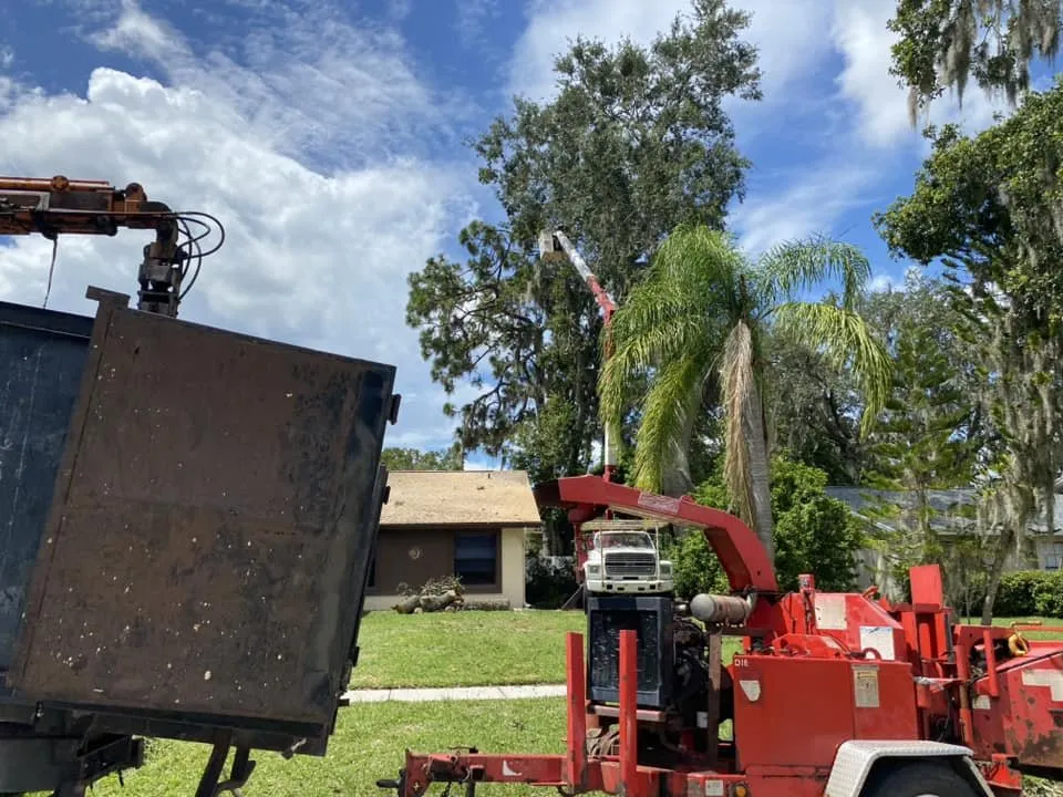 Local lawn mowing service experts serving Lakeland, FL - Fields Tree & Land Management