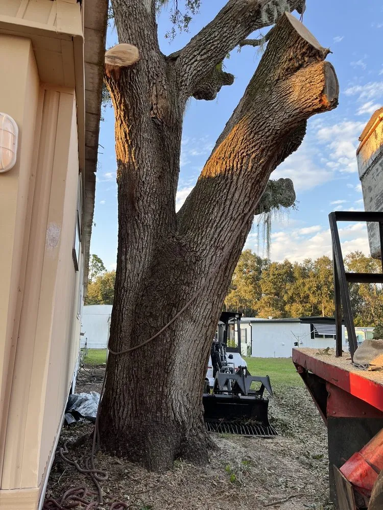 Expert garden landscaping for residential properties in Lakeland, FL by Fields Tree & Land Management