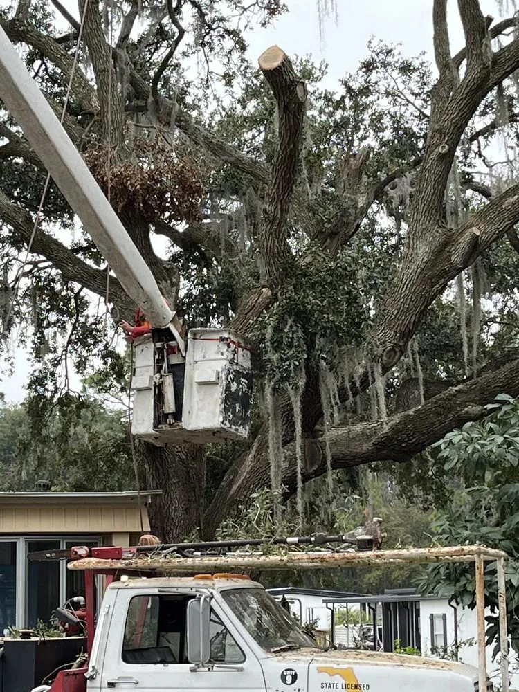 Affordable outdoor landscaping for residential properties in Lakeland, FL by Fields Tree & Land Management