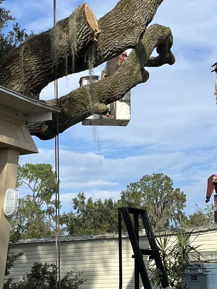 Affordable lawn mowing service for homes across Lakeland, FL - Fields Tree & Land Management