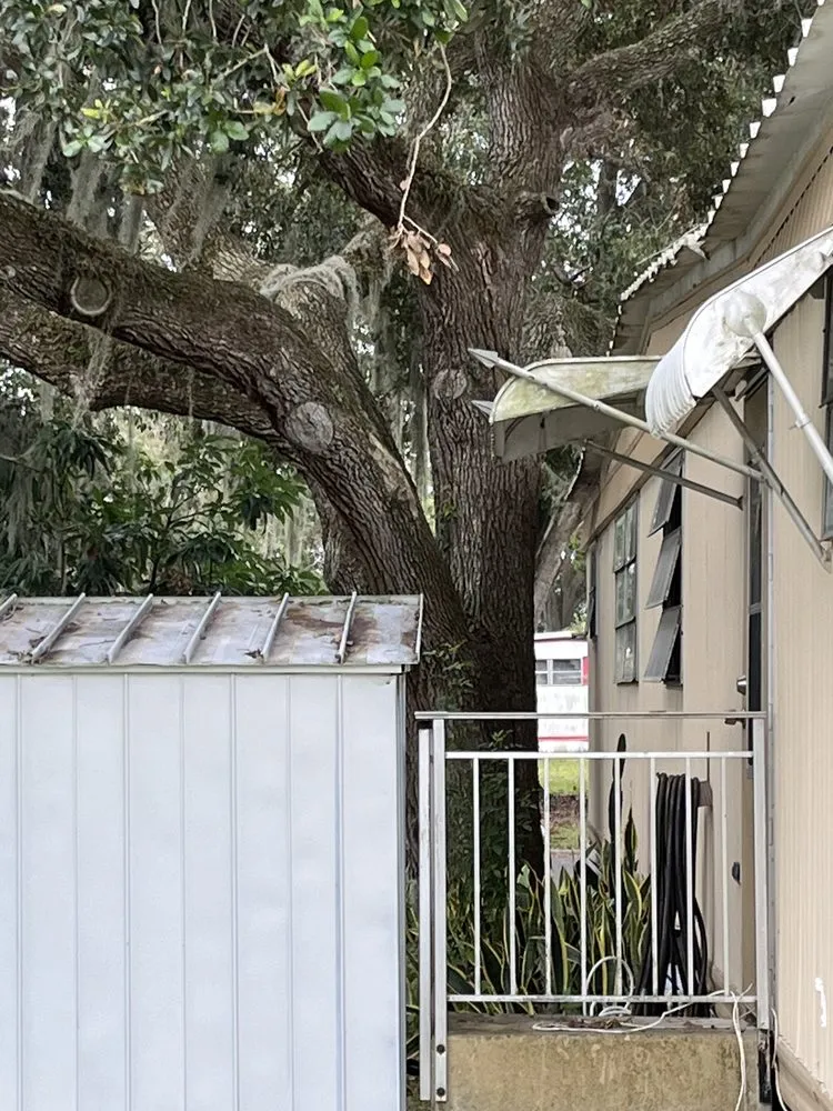 Trusted lawn care service near you across Lakeland, FL - Fields Tree & Land Management