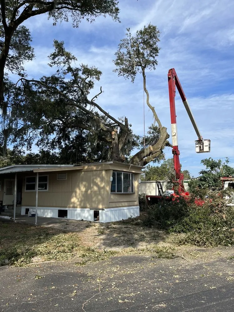 Custom lawn mowing service in Lakeland, FL - Fields Tree & Land Management