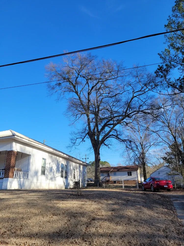 Trusted lawn mowing service experts serving Gardendale, AL - Fields Tree and Trimming