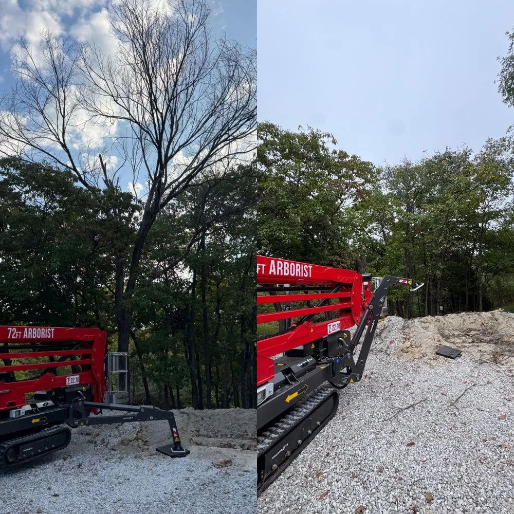 Custom residential landscaping in Fulton, MO by Fields Tree Service