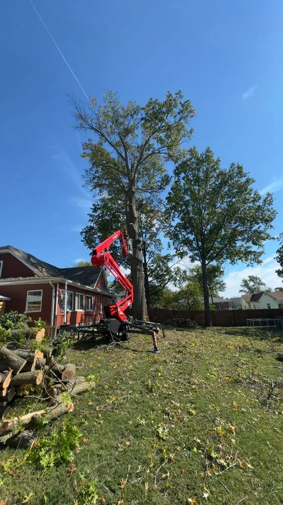 Local landscape design experts serving Fulton, MO - Fields Tree Service