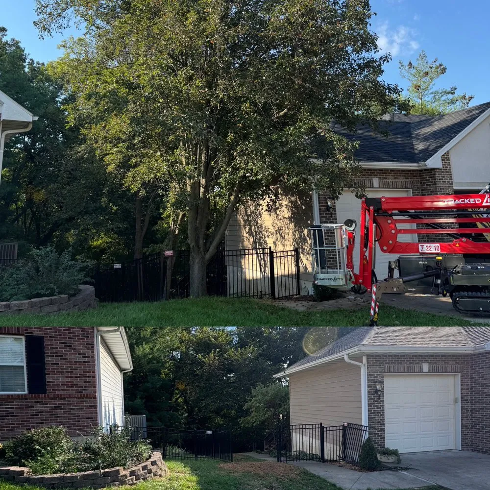 Reliable yard maintenance in Fulton, MO - Fields Tree Service