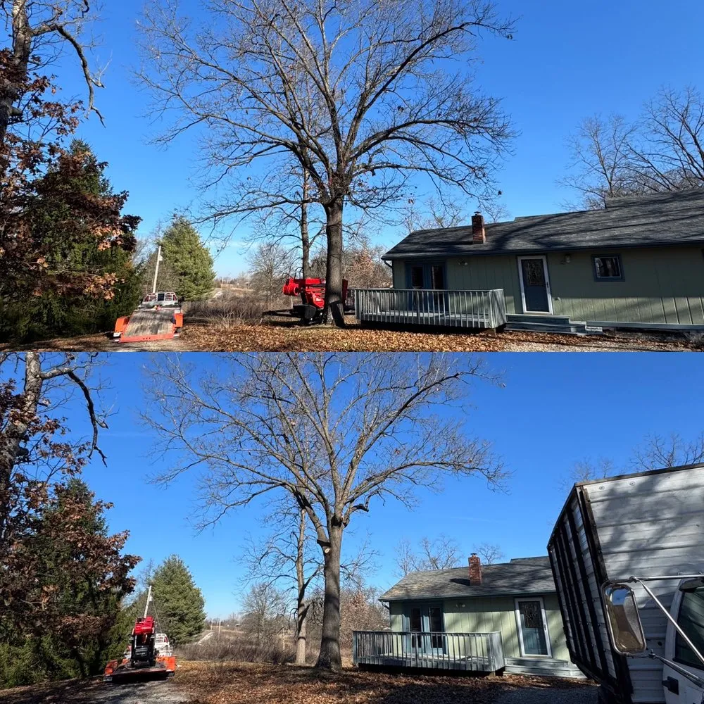 Top-rated landscaping services with custom design across Fulton, MO - Fields Tree Service