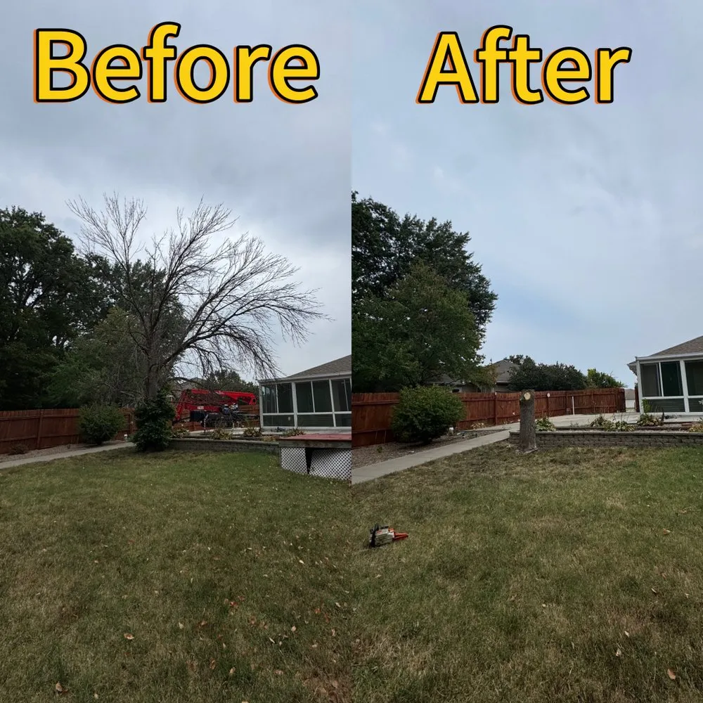 Professional lawn mowing service for year-round maintenance in Fulton, MO by Fields Tree Service