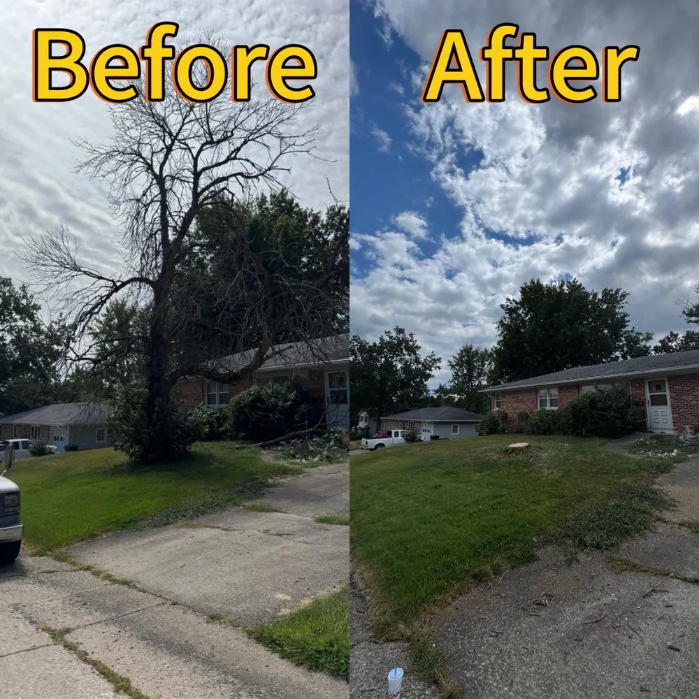 Trusted garden landscaping for residential properties across Fulton, MO - Fields Tree Service