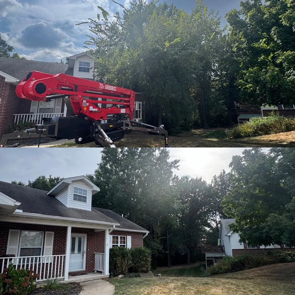 Local residential landscaping experts serving Fulton, MO - Fields Tree Service