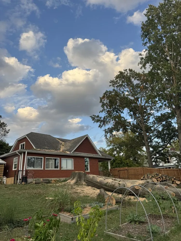 Expert lawn care service in Fulton, MO by Fields Tree Service