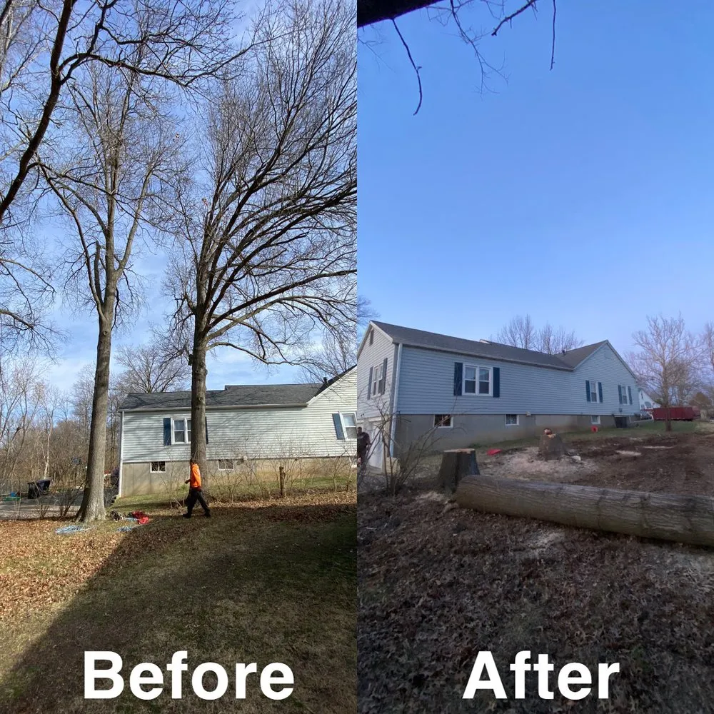 Expert residential landscaping for outdoor upgrades across Fulton, MO - Fields Tree Service