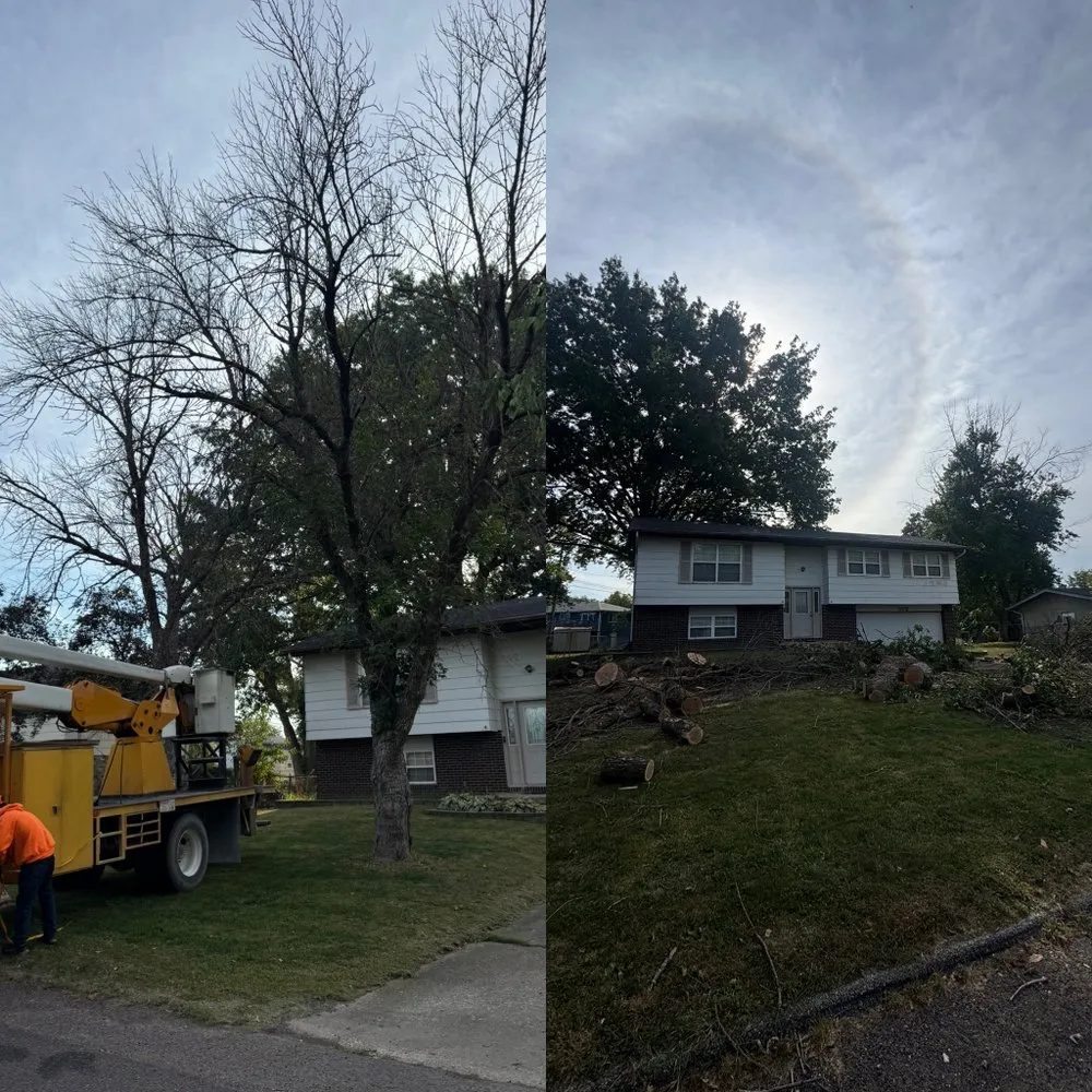 Local landscape design for outdoor upgrades in Fulton, MO by Fields Tree Service