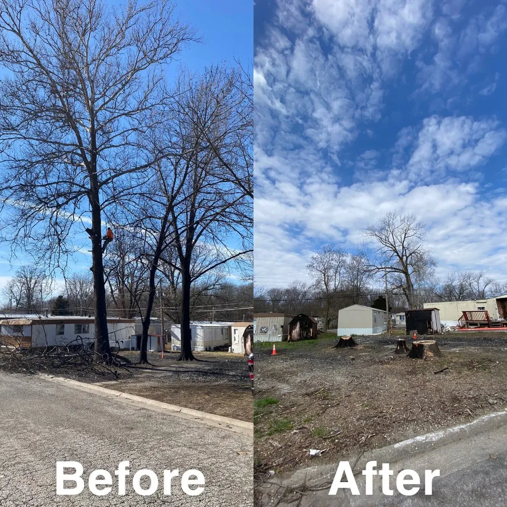 Trusted landscaping services in Fulton, MO by Fields Tree Service