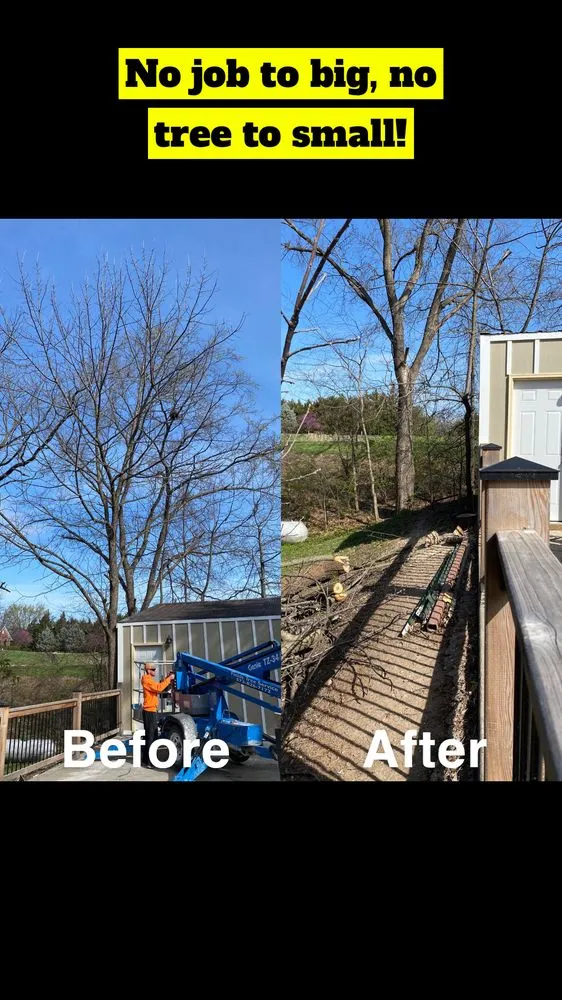 Reliable residential landscaping experts serving Fulton, MO - Fields Tree Service