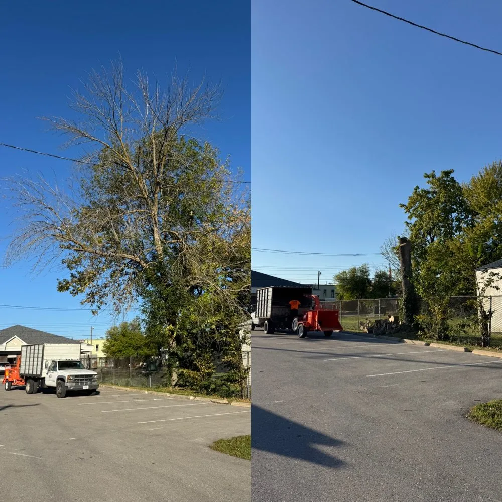 Trusted lawn care service in Fulton, MO - Fields Tree Service