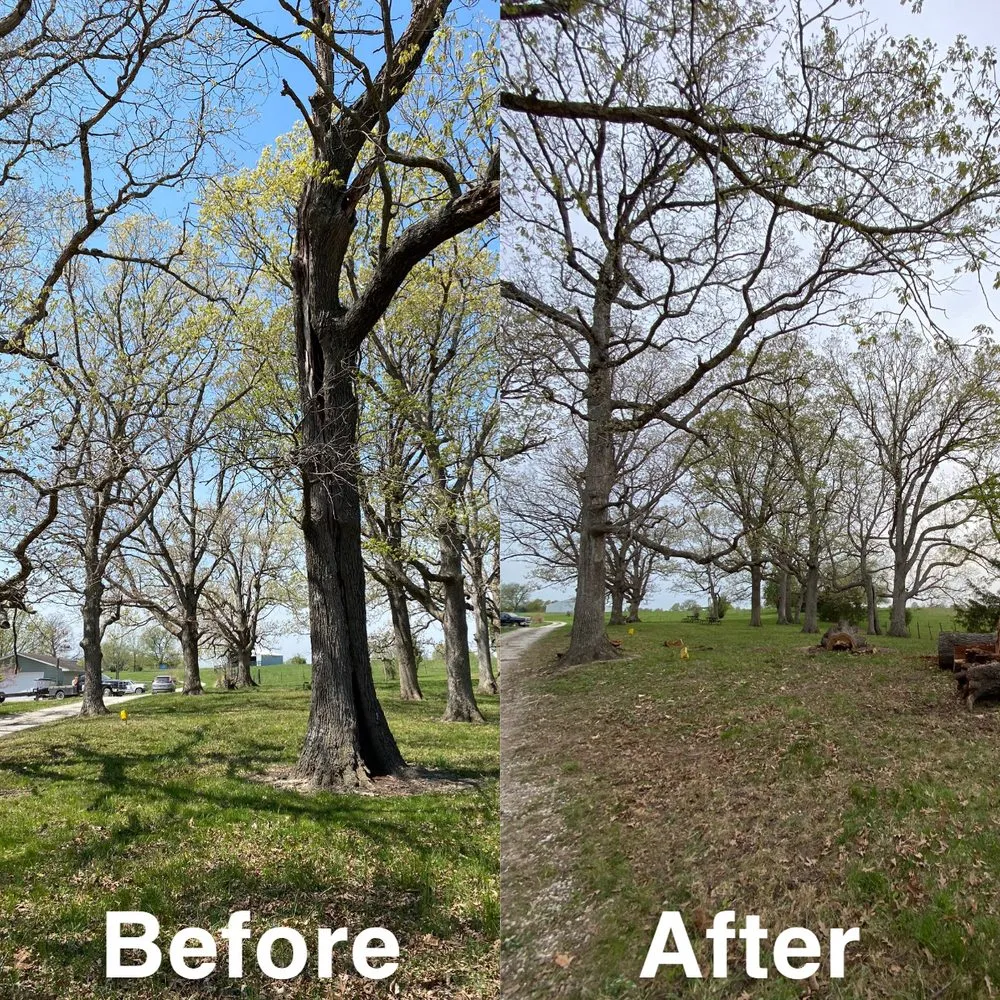 Professional garden landscaping experts serving Fulton, MO - Fields Tree Service