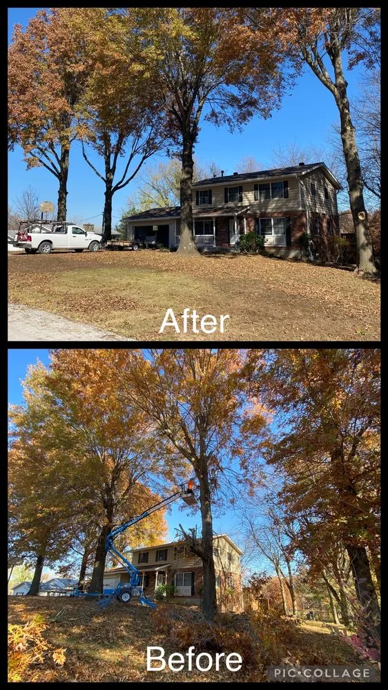 Custom outdoor landscaping for residential properties in Fulton, MO by Fields Tree Service