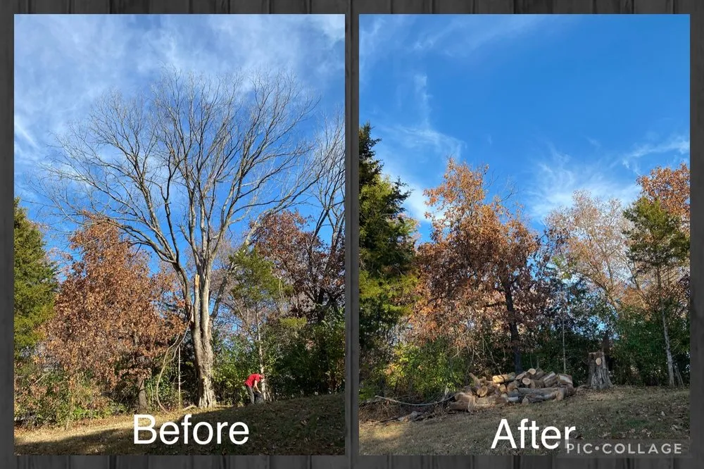 Affordable residential landscaping in Fulton, MO by Fields Tree Service