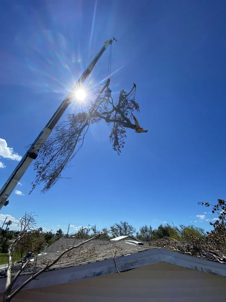 Professional landscape installation with custom design across Fulton, MO - Fields Tree Service