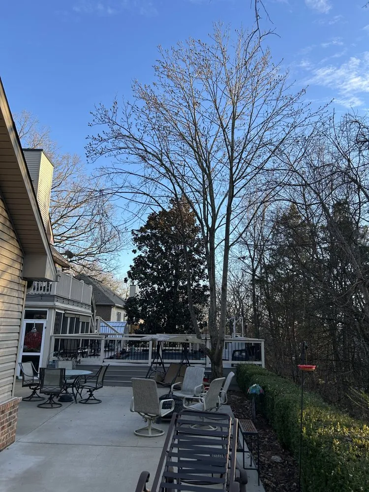 Expert landscape design experts serving Gallatin, TN - Fields Tree Service