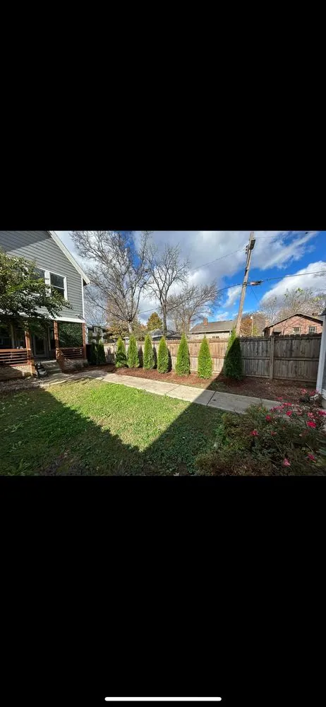 Professional landscape design for year-round maintenance in Gallatin, TN by Fields Tree Service