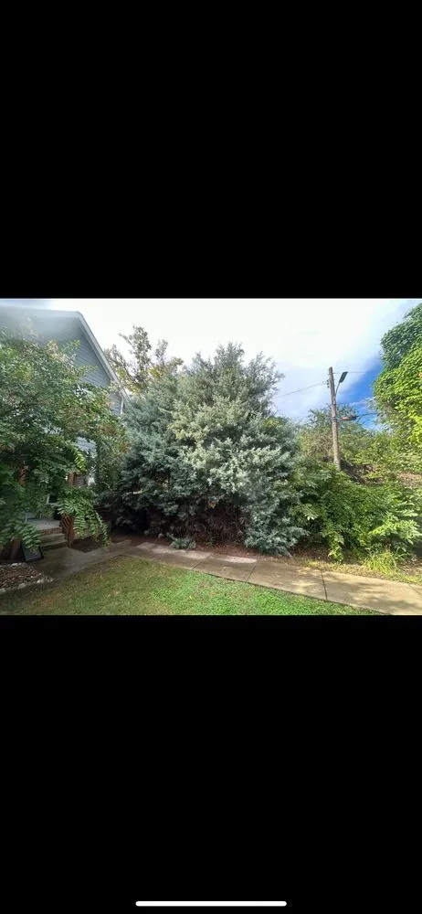 Reliable landscaping services for residential properties across Gallatin, TN - Fields Tree Service