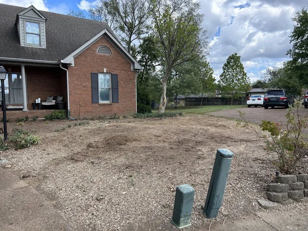 Top-rated landscape installation experts serving Gallatin, TN - Fields Tree Service