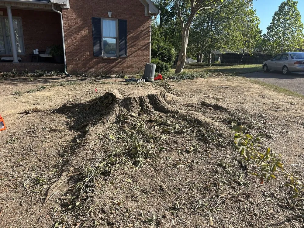 Local residential landscaping for year-round maintenance in Gallatin, TN by Fields Tree Service