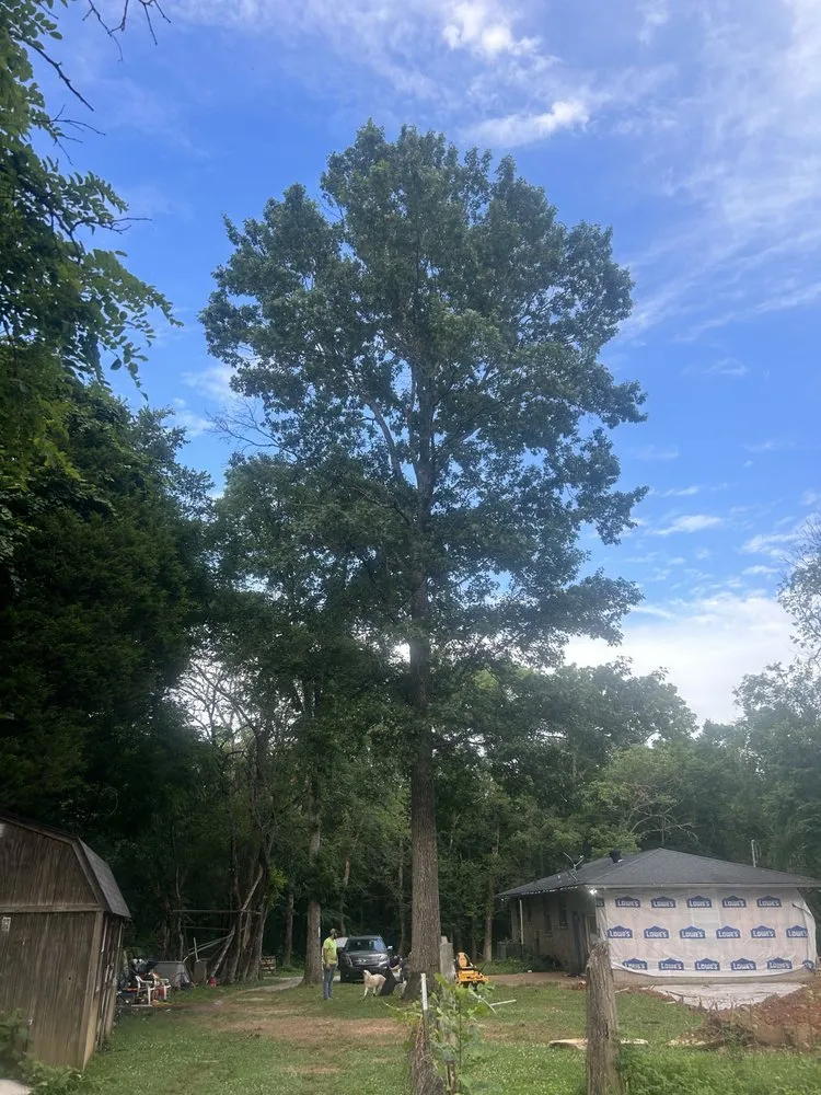 Local lawn mowing service near you in Gallatin, TN by Fields Tree Service