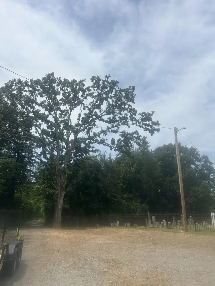 Local landscape installation in Gallatin, TN - Fields Tree Service