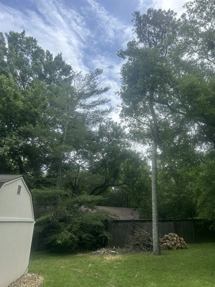 Local landscape installation experts serving Gallatin, TN - Fields Tree Service