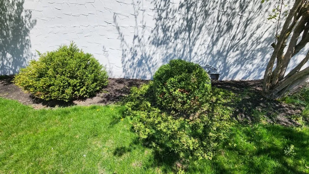 Custom yard maintenance for residential properties in Marengo, OH by fieldstone landscaping