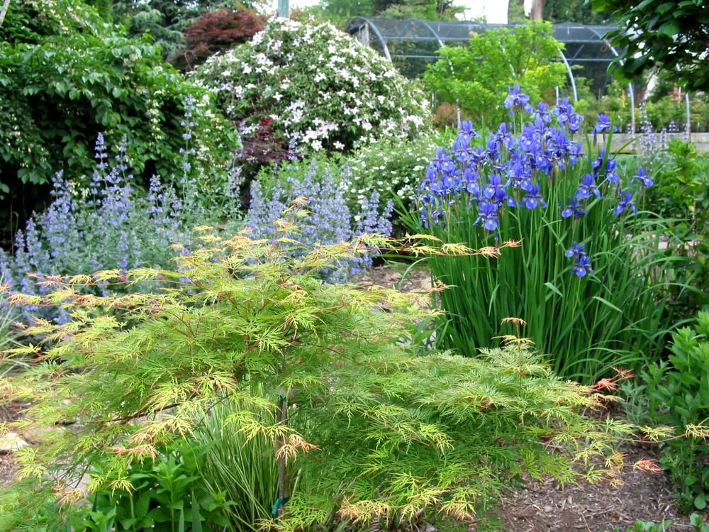 Custom landscaping services in Parkton, MD by Fieldstone Nursery