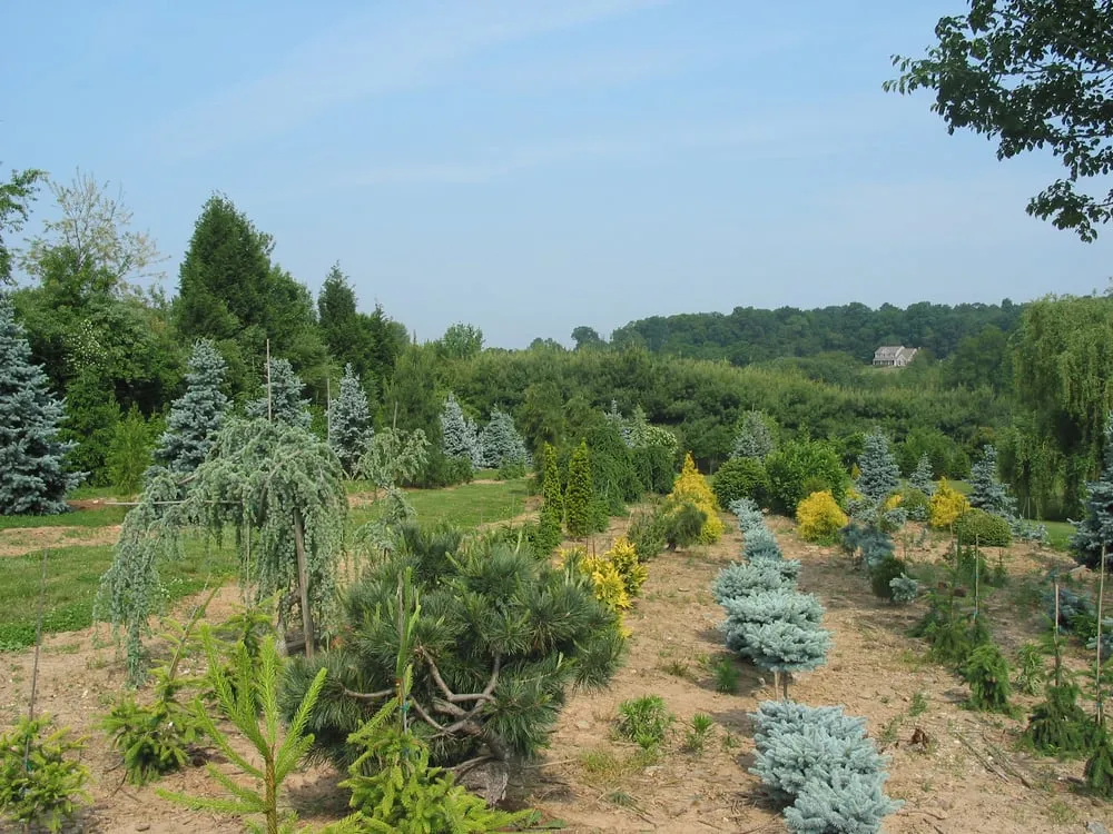 Top-rated residential landscaping for residential properties in Parkton, MD by Fieldstone Nursery