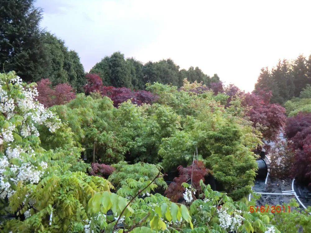 Reliable lawn care service in Parkton, MD by Fieldstone Nursery
