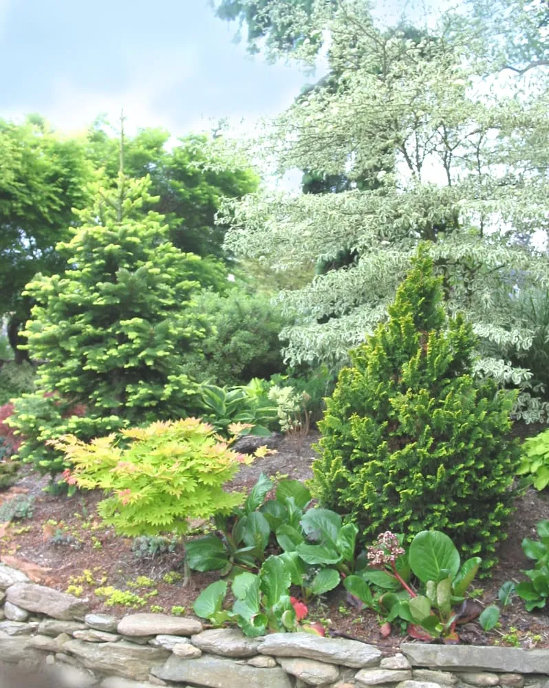 Reliable outdoor landscaping for homes across Parkton, MD - Fieldstone Nursery