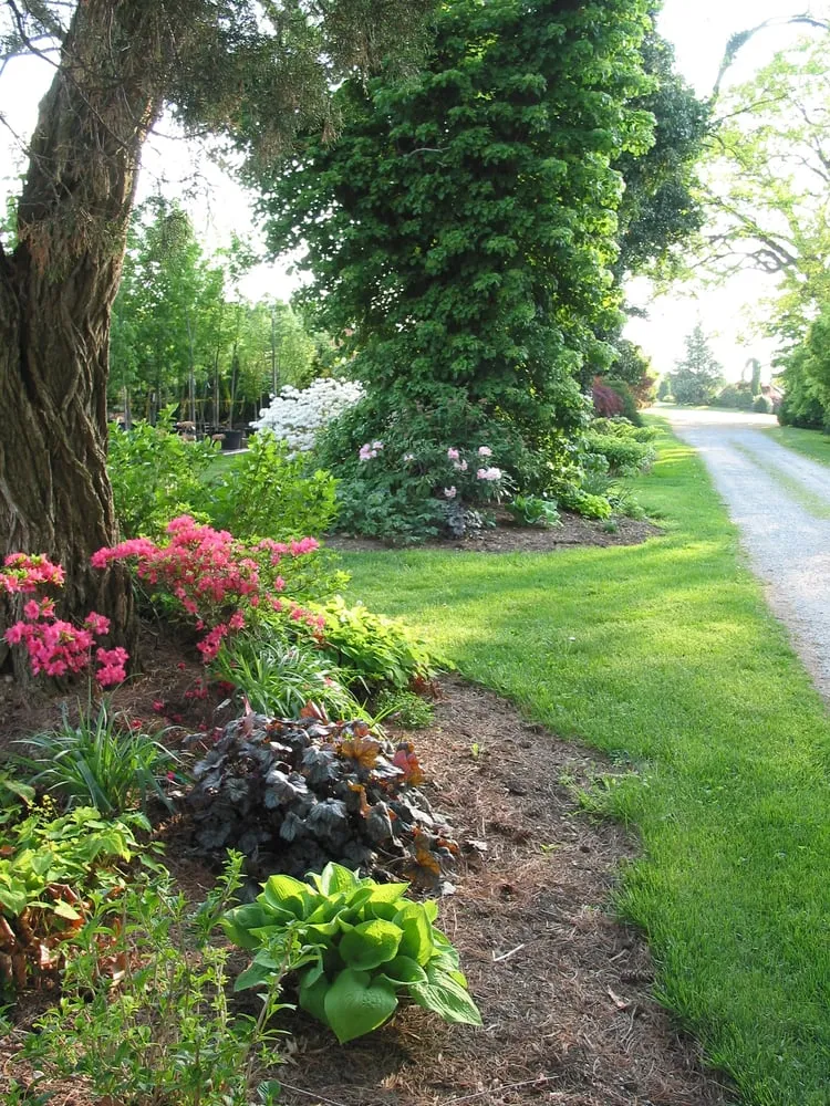 Top-rated garden landscaping in Parkton, MD - Fieldstone Nursery