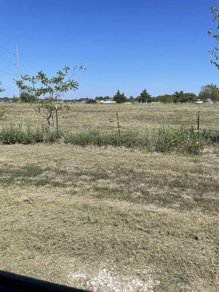 Expert yard maintenance experts serving Nevada, TX - Fieldworks