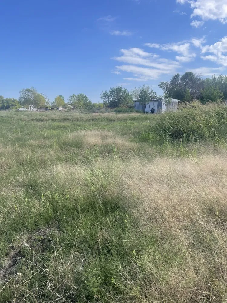 Local yard maintenance in Nevada, TX - Fieldworks