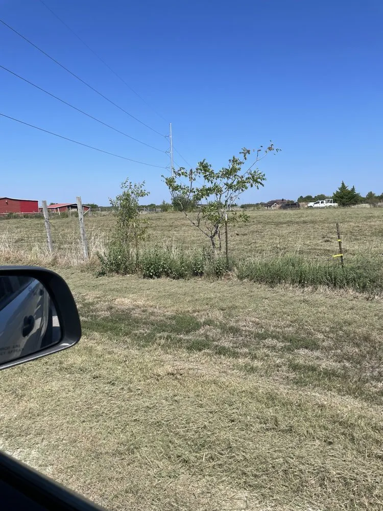 Custom garden landscaping experts serving Nevada, TX - Fieldworks