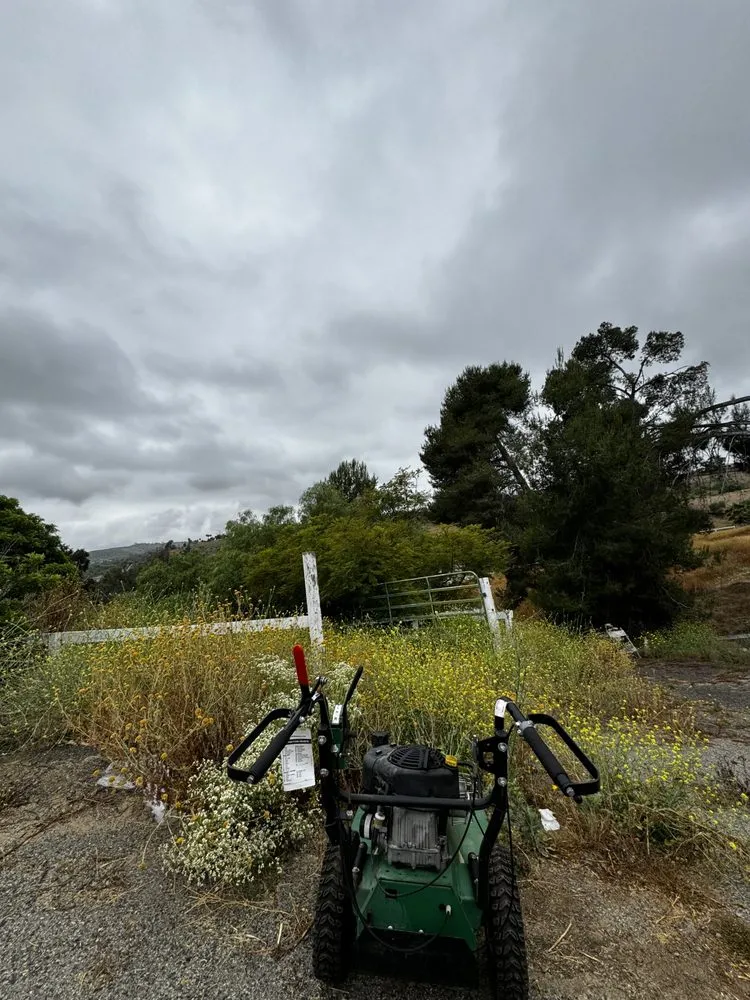 Top-rated yard maintenance in Fallbrook, CA by Fierro Brother’s Landscape