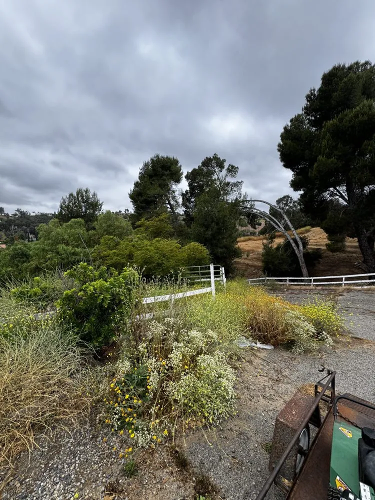 Professional residential landscaping in Fallbrook, CA by Fierro Brother’s Landscape