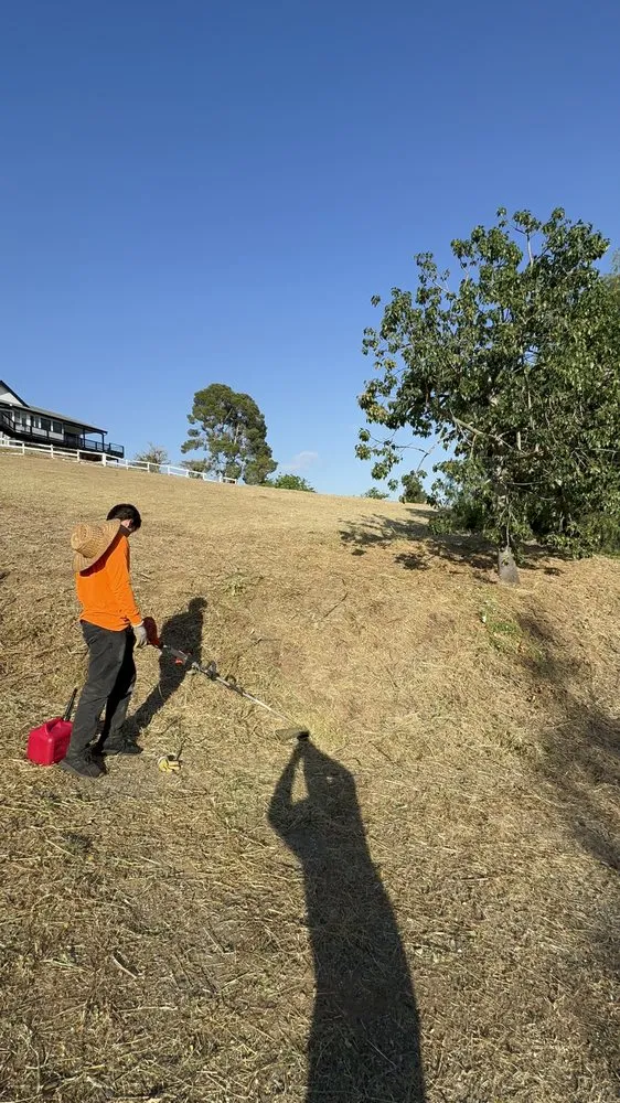 Affordable landscape design in Fallbrook, CA - Fierro Brother’s Landscape
